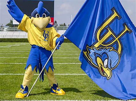 From Idea to Reality: Creating the Hampshire College Mascot Concept